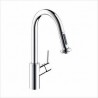 Hansgrohe Talis S HighArc Kitchen Faucet 14877