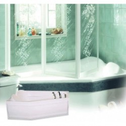 Venus VE60A