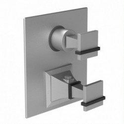 MQ Temperature Control Valve with Built-In Stops & Two Way Diverter with Shutoff 2QMQ1