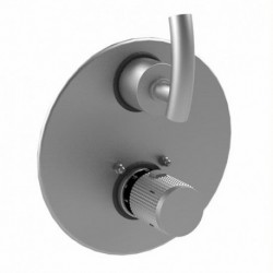 H2O Temperature Control Valve with Built-In Stops & Two Way Diverter with Shutoff 2QHOL
