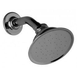 Elegant Showerhead with Shower Arm G-8390