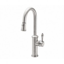 Davoli Pull-Down/Prep Bar Faucet K10-101