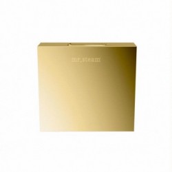AromaSteam iTempo Square Steamhead