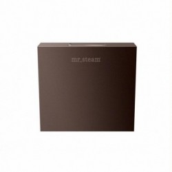 AromaSteam iTempo Square Steamhead