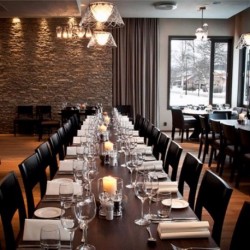 Romeo Louis ll-S1 Hanging Light