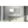 Wet Style Wall Mounted Sink WM4822-DT/VCS48