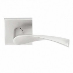 Triton Modern Brass Privacy Leverset