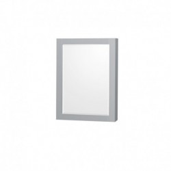 36 inch Single Bathroom Vanity in Gray, No Countertop, No Sink, and Medicine Cabinet