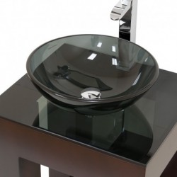 22 inch Single Bathroom Vanity in Espresso, Smoke Glass Countertop, Smoke Glass Sink, and 22 inch Mirror