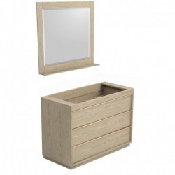 48 inch Single Bathroom Vanity in Ash Gray, No Countertop, No Sink, and 36 inch Mirror