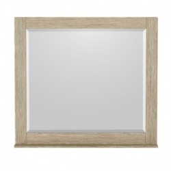 48 inch Single Bathroom Vanity in Ash Gray, No Countertop, No Sink, and 36 inch Mirror